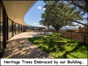 Daycare all about children, nurture, discoveries, ratios, meals and giving the best start near Glendene, Avondale, Huapai, New Lynn, Swanson, Kelston, Titirangi, Kumeu, Waterview, Henderson, Hobsonville, Whenuapai, Te Atatu, Glen Eden, Westgate, Massey, Huia, Laingholm, Waimauku